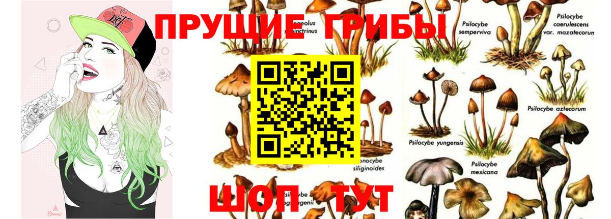 Псилоцибиновые грибы мицелий  Вход с VPN  Калач-на-Дону 